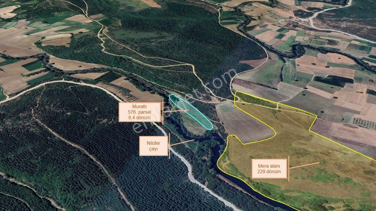 Remax Area'dan Karacabey-muratlı'da 8,4 Dönüm Satılık Tarla - Görsel 5