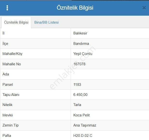 Remax Area'dan Bandırma-yeşilçomlu'da 109 Dönüm Satılık Tarla - Görsel 8