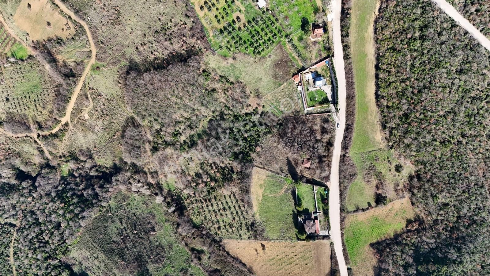 Bursa Nilüfer Ayva Köyde Satılık Gölyazı Manzaralı Tarla - Görsel 16