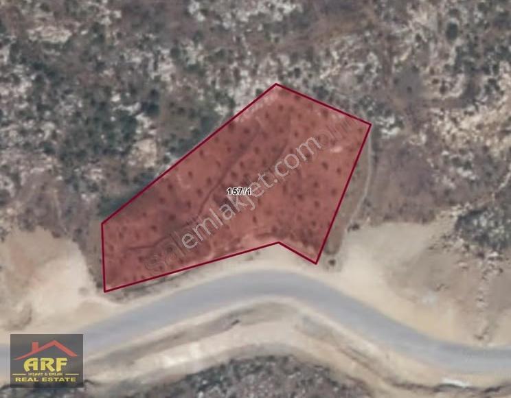 Güzelbağ Yolunda Panoramik Doğa Manzaralı 3908 M² Bahçe - Görsel 3