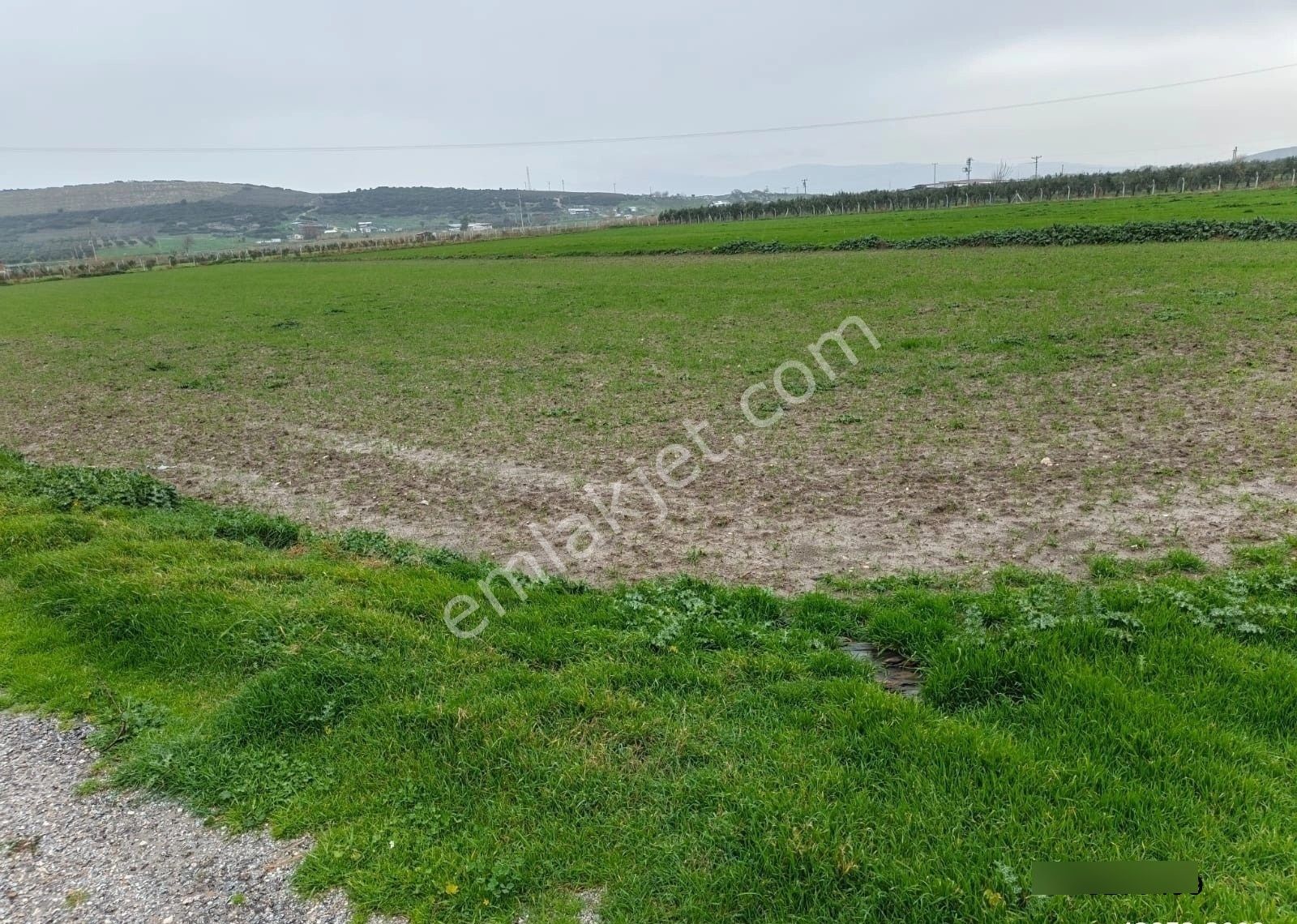 Foça Geren Köyünde 5062 M2 Satlık Tarla - Görsel 8