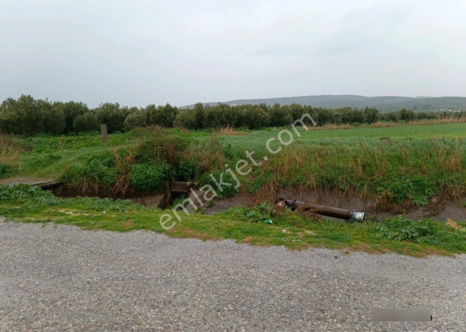 Foça Geren Köyünde 5062 M2 Satlık Tarla - Görsel 9