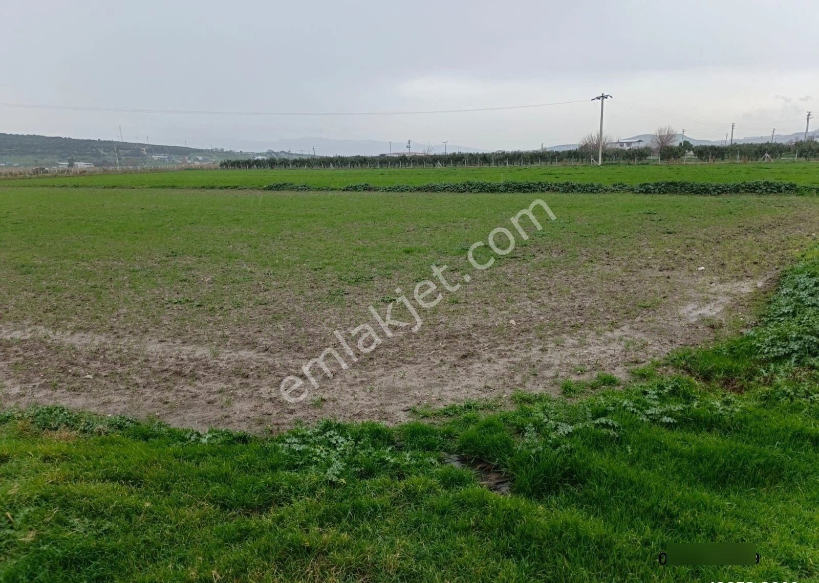 Foça Geren Köyünde 5062 M2 Satlık Tarla - Görsel 3