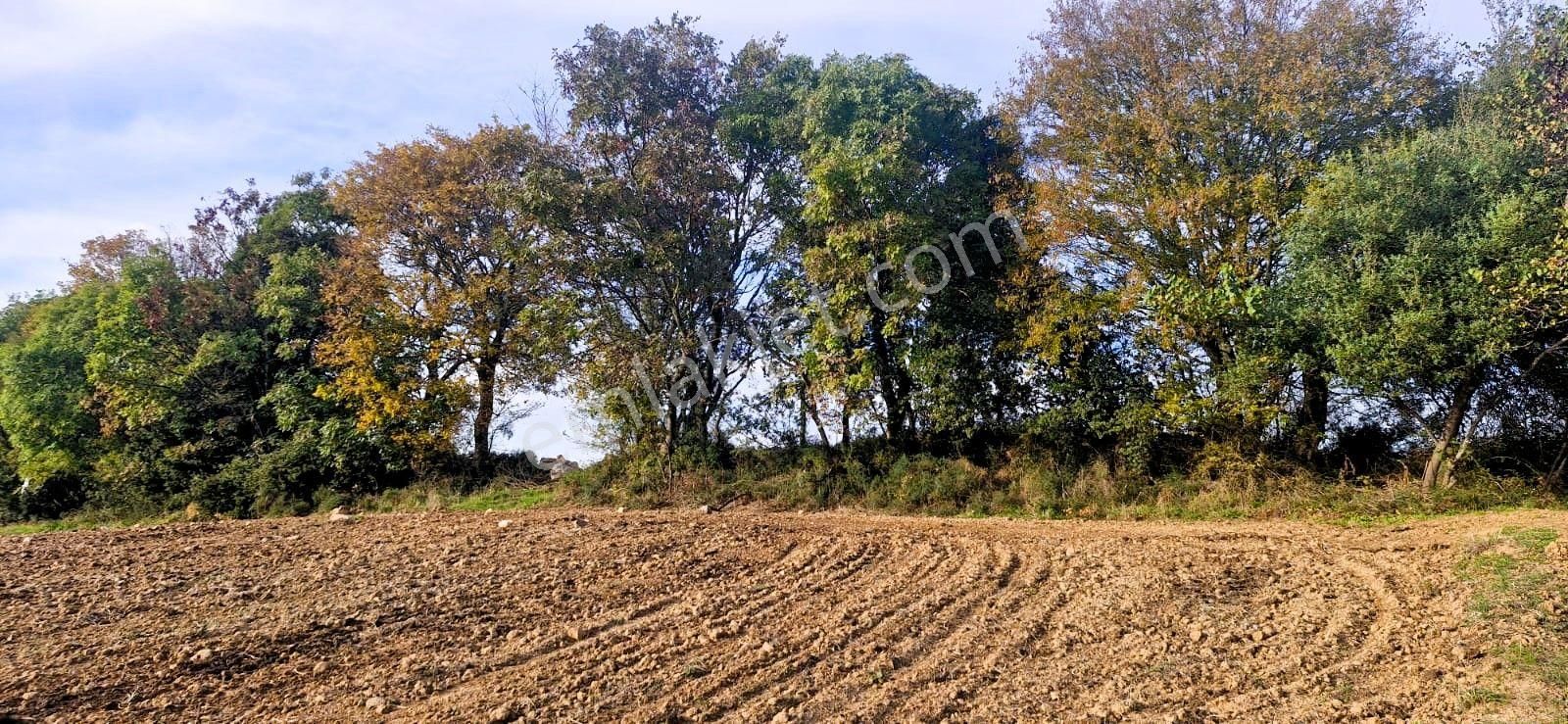 Biga Akpınar Köyü’nde Resmi Yol Cepheli, Gölet Yakınında Yatırımlık Tarla - Görsel 23