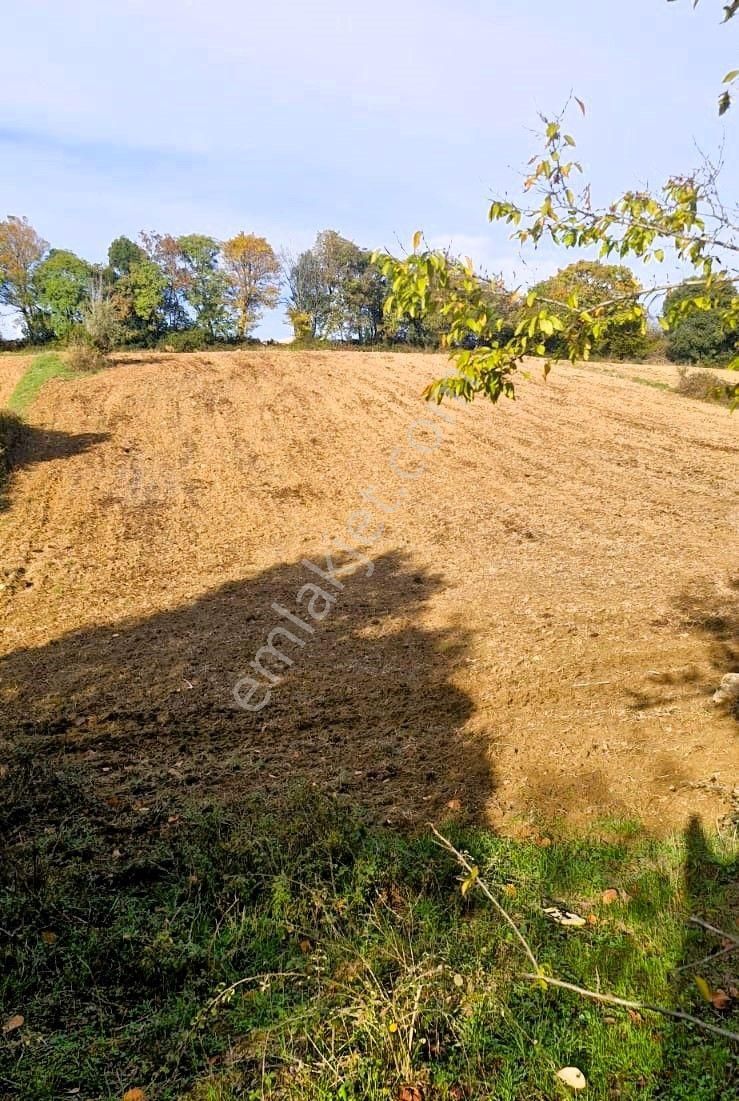 Biga Akpınar Köyü’nde Resmi Yol Cepheli, Gölet Yakınında Yatırımlık Tarla - Görsel 10