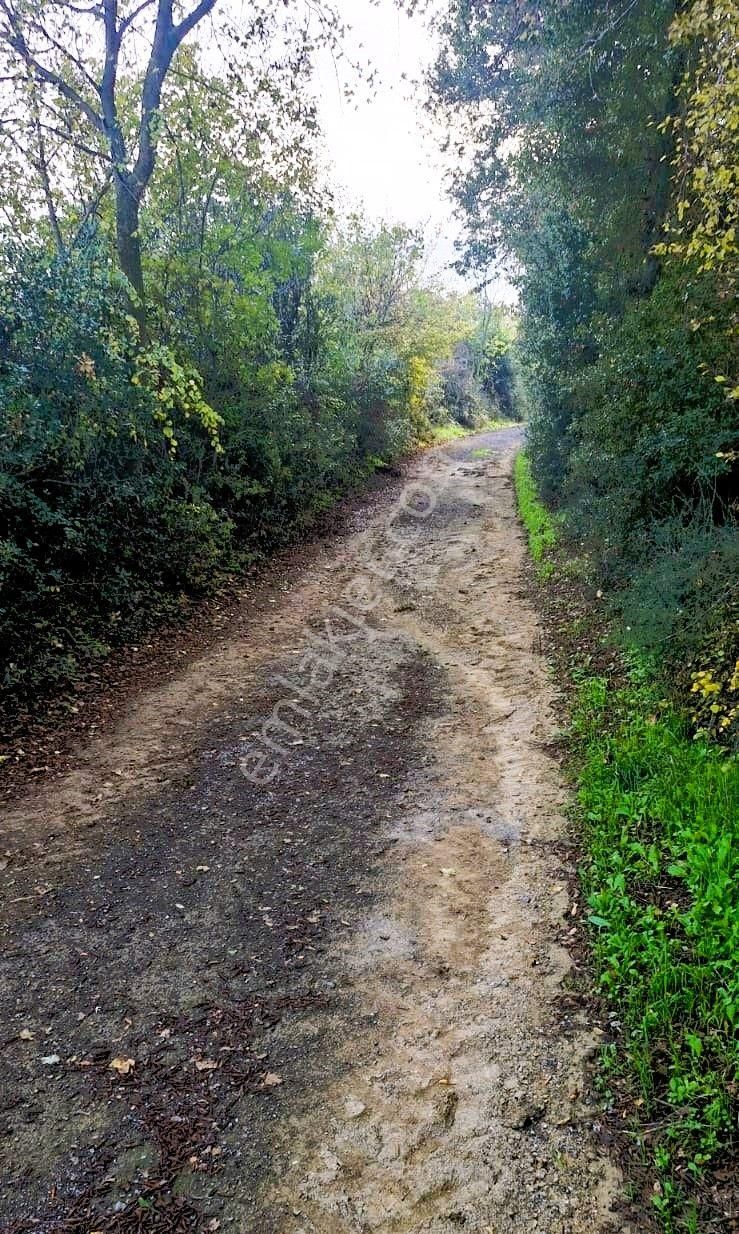 Biga Akpınar Köyü’nde Resmi Yol Cepheli, Gölet Yakınında Yatırımlık Tarla - Görsel 4