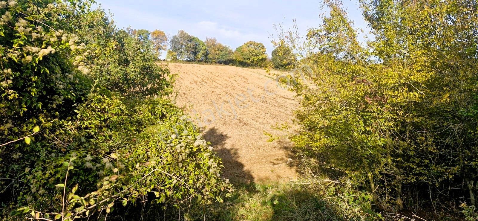 Biga Akpınar Köyü’nde Resmi Yol Cepheli, Gölet Yakınında Yatırımlık Tarla - Görsel 17