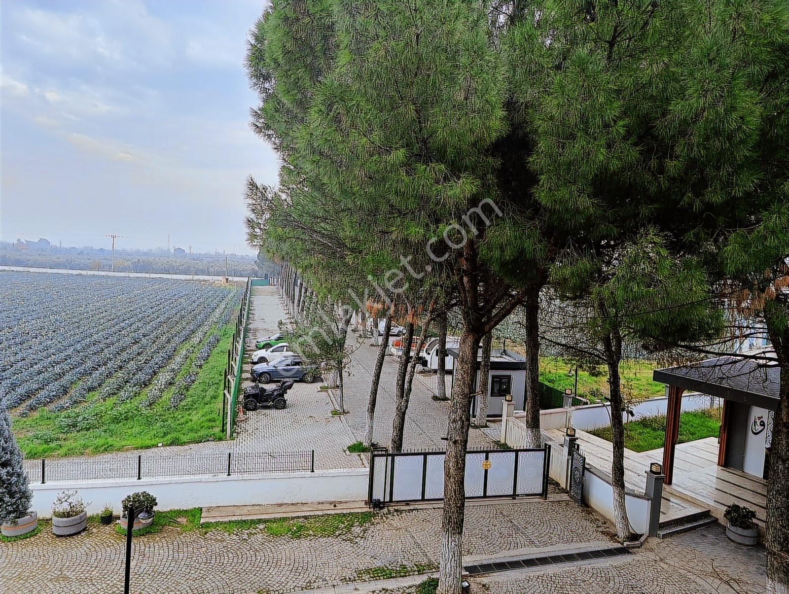 İzmir Kemalpaşa Örnekköy Kiralık 5+1 Villa - Görsel 10