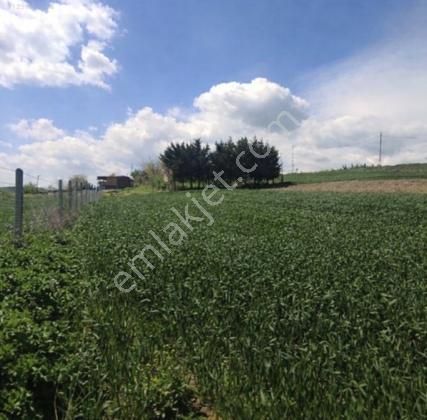 Fırsat Çatalca Çanakça Satılık 773 M2 Tarla