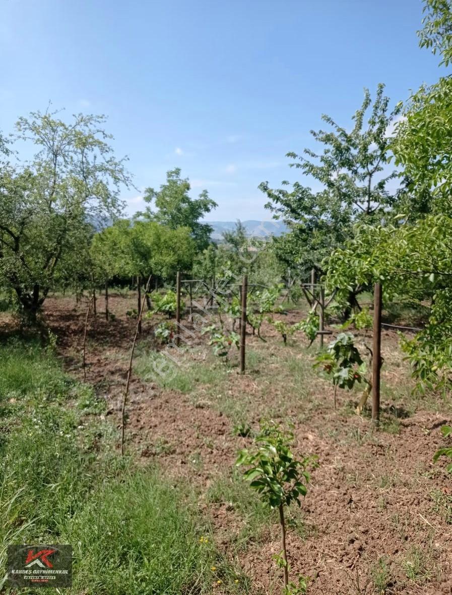 Karamürsel Yalakdere De | Doğa İçinde, Yola Cepheli Bahçeli Ev - Görsel 20