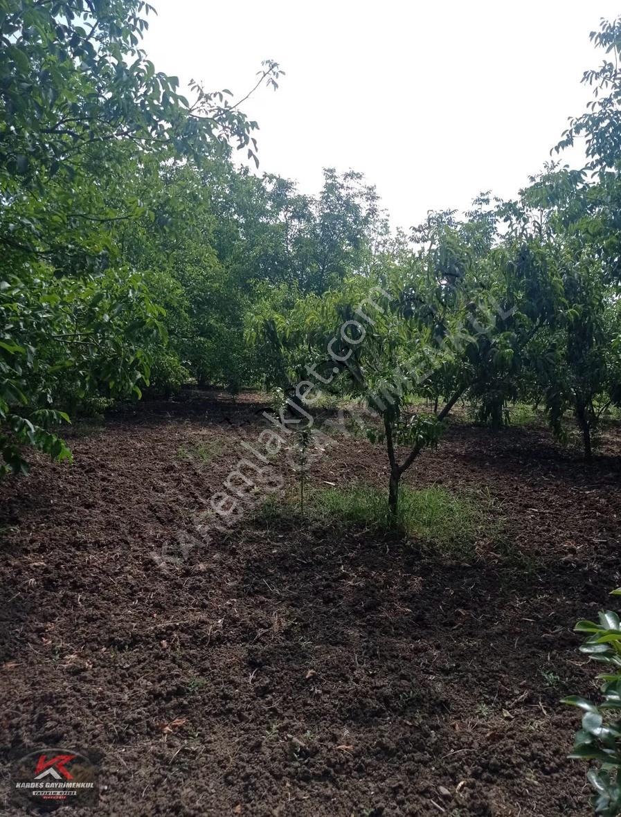 Karamürsel Yalakdere De | Doğa İçinde, Yola Cepheli Bahçeli Ev - Görsel 14