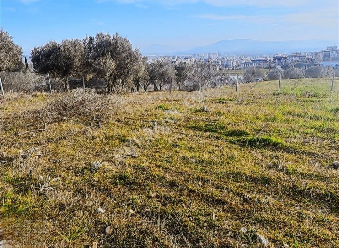 Ayrancılar Da Yerleşim Yerine Yakın Güzel Hisseli Tarla - Görsel 12