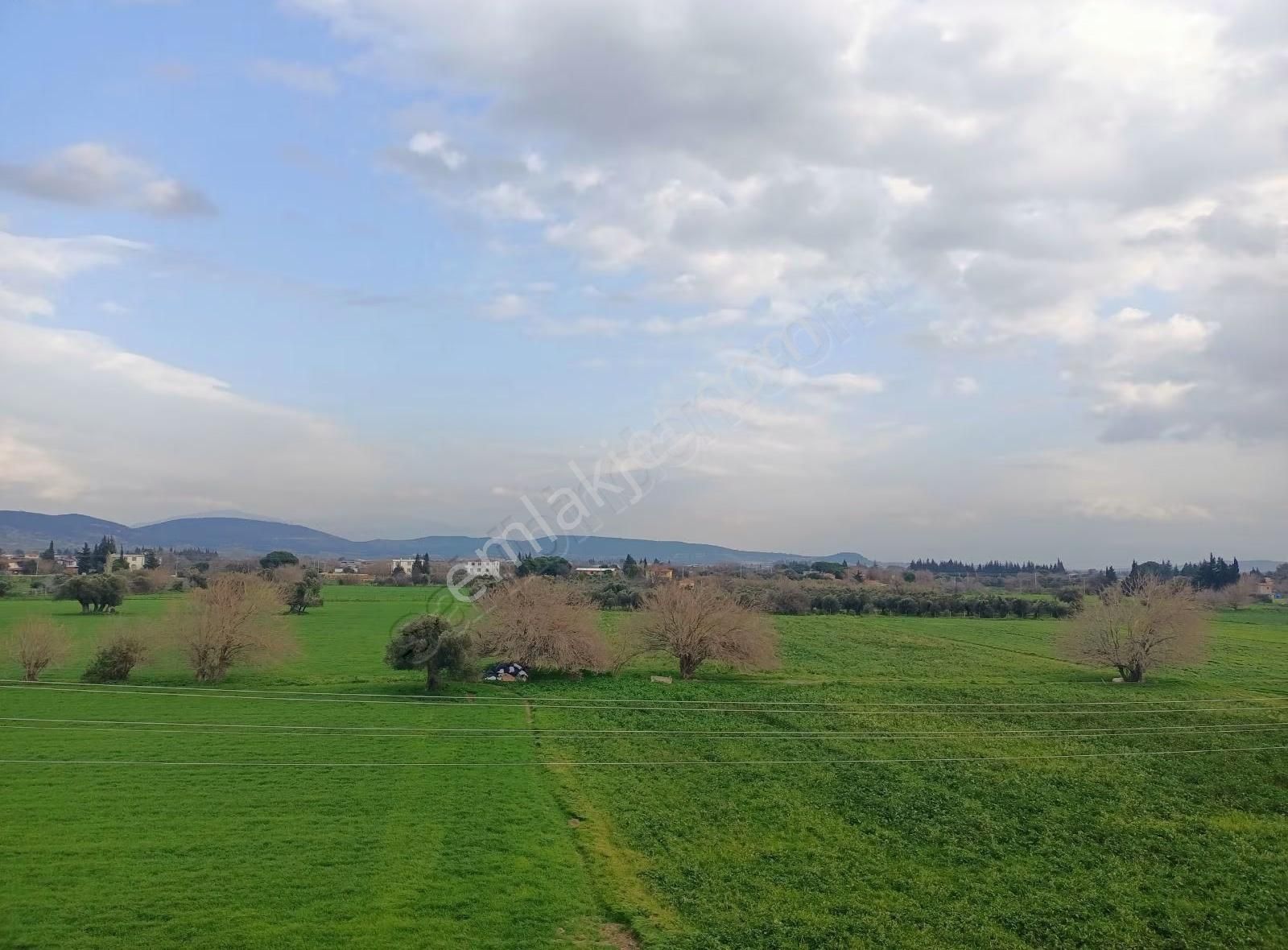 Foça Yenibağarasında Nezih Sitede 1+1 Teraslı Daire - Görsel 7