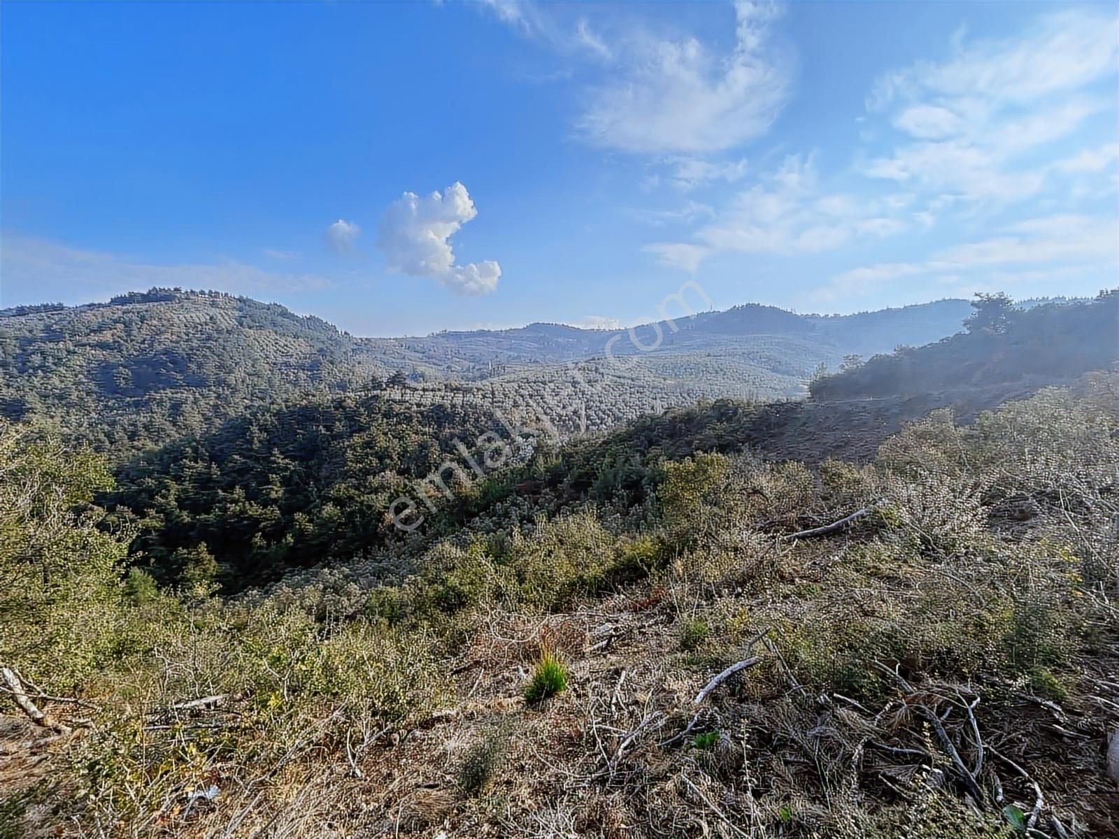 Gündoğdu'da Yatırımcıya Özel Doğa Manzaralı Tarla - Görsel 7