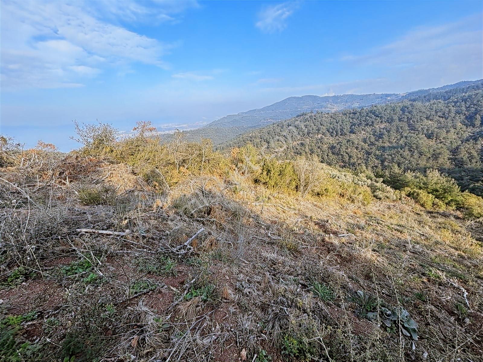 Gündoğdu'da Yatırımcıya Özel Doğa Manzaralı Tarla - Görsel 4
