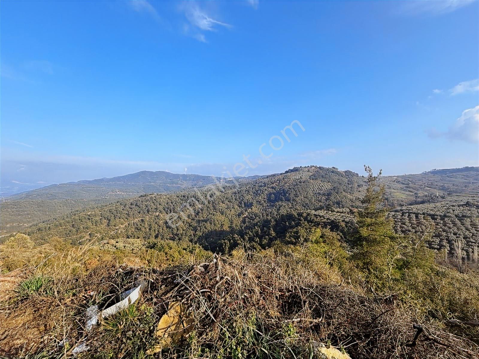 Gündoğdu'da Yatırımcıya Özel Doğa Manzaralı Tarla - Görsel 18