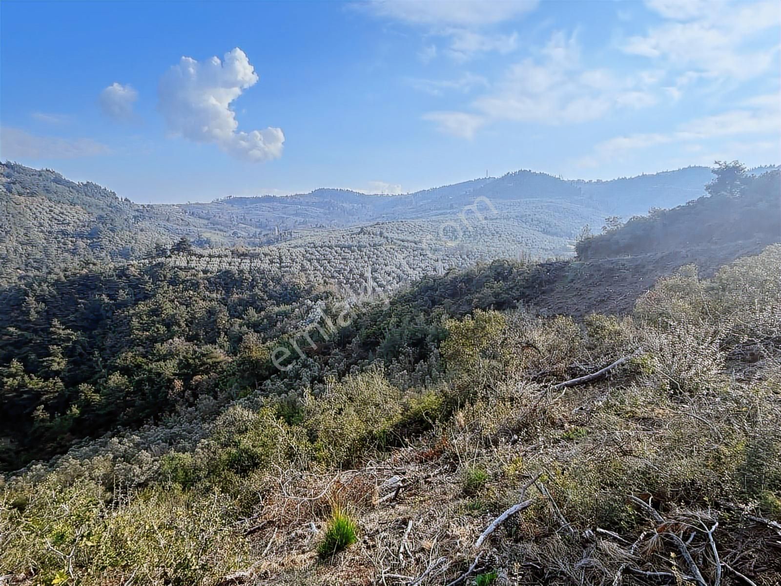 Gündoğdu'da Yatırımcıya Özel Doğa Manzaralı Tarla - Görsel 6