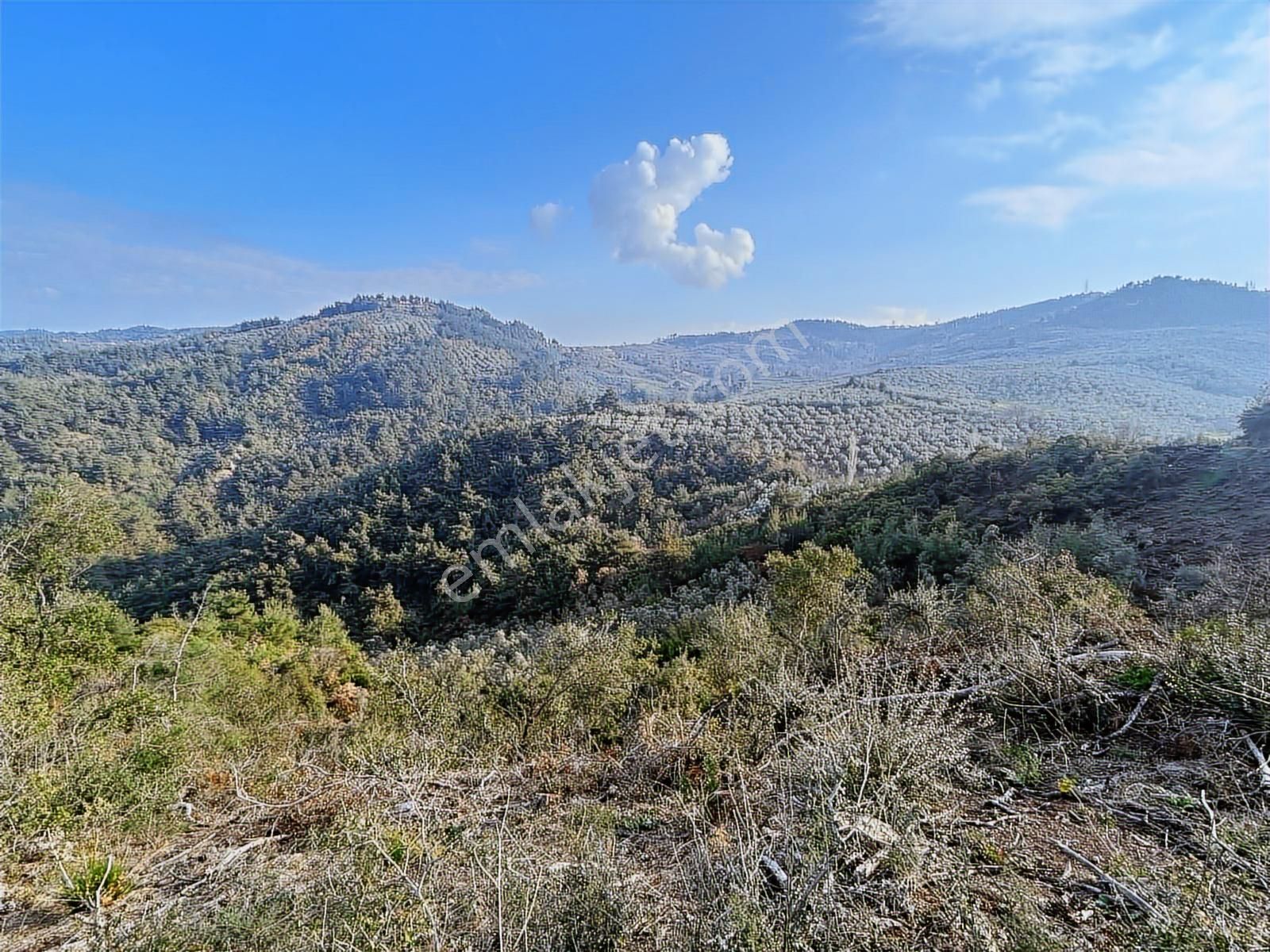 Gündoğdu'da Yatırımcıya Özel Doğa Manzaralı Tarla - Görsel 3