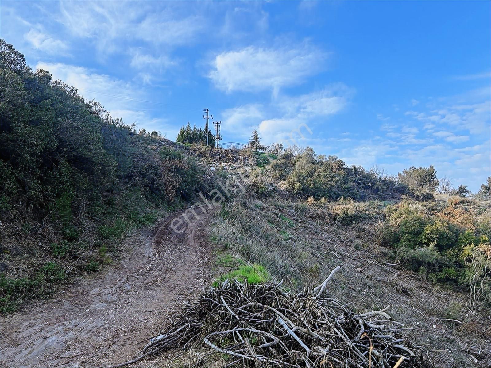Gündoğdu'da Yatırımcıya Özel Doğa Manzaralı Tarla - Görsel 14