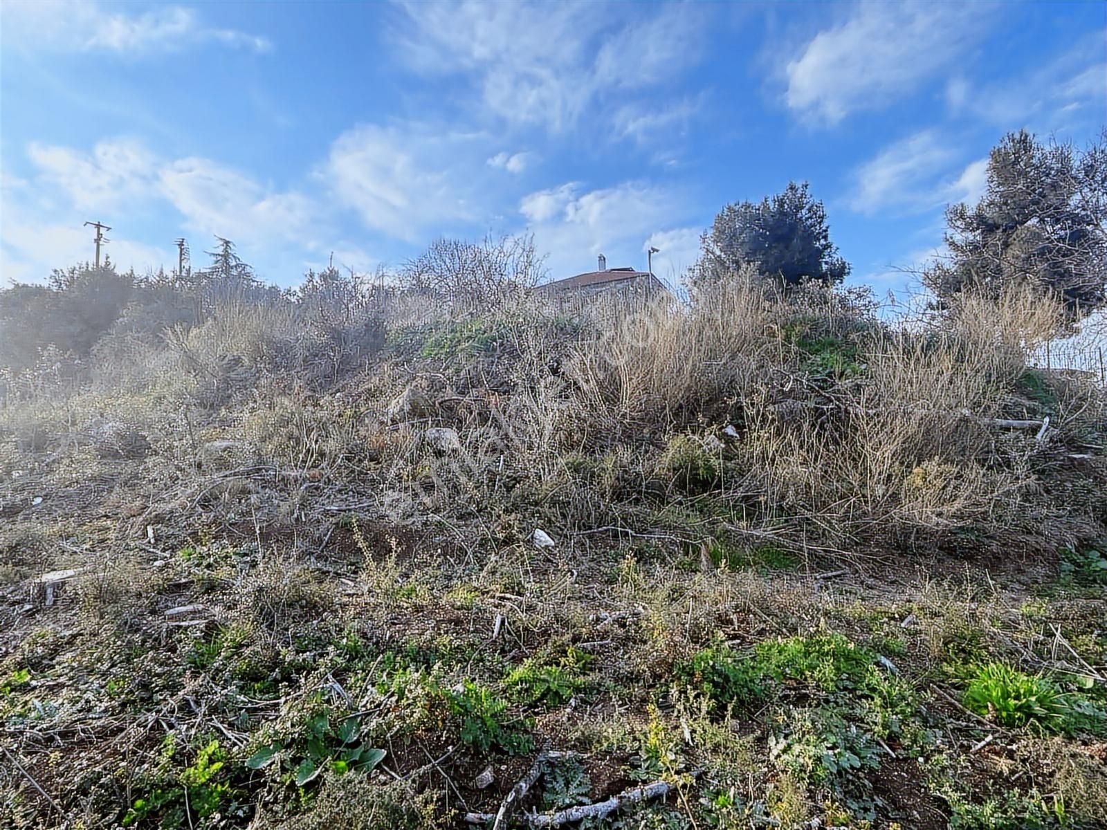 Gündoğdu'da Yatırımcıya Özel Doğa Manzaralı Tarla - Görsel 2