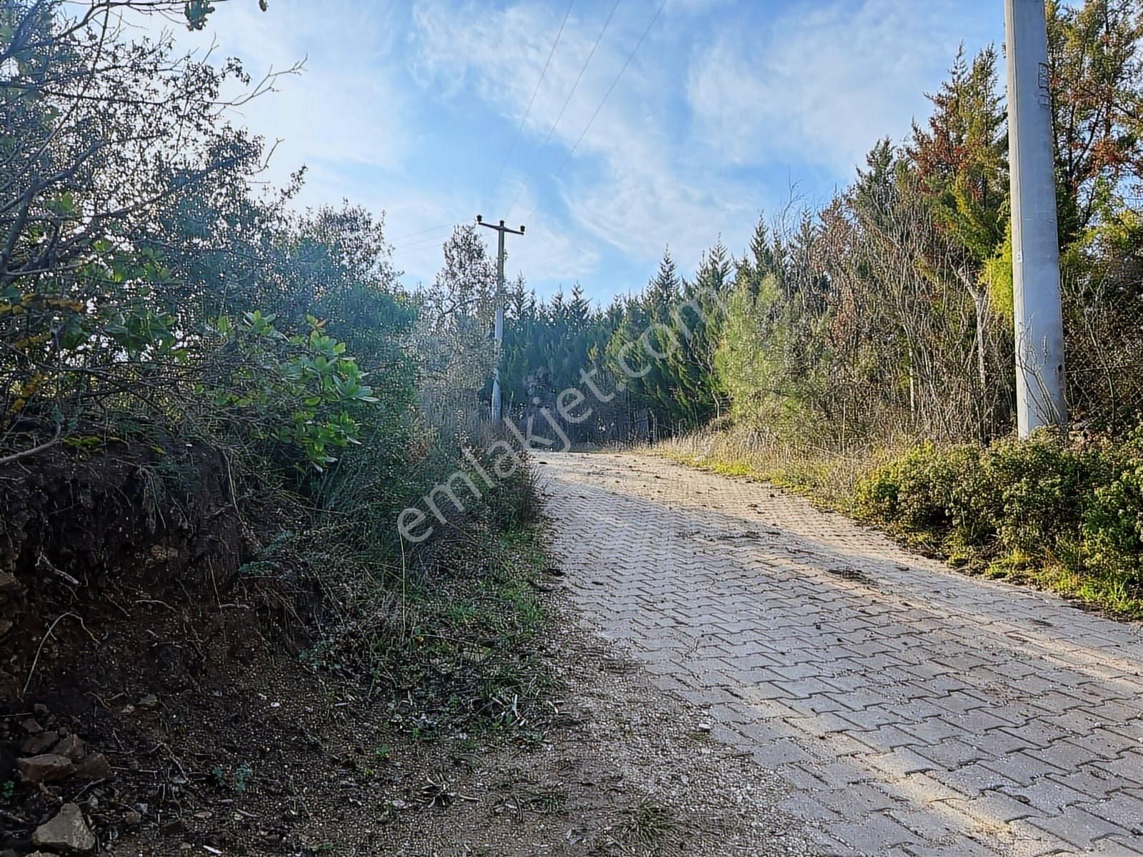 Gündoğdu'da Yatırımcıya Özel Doğa Manzaralı Tarla - Görsel 12