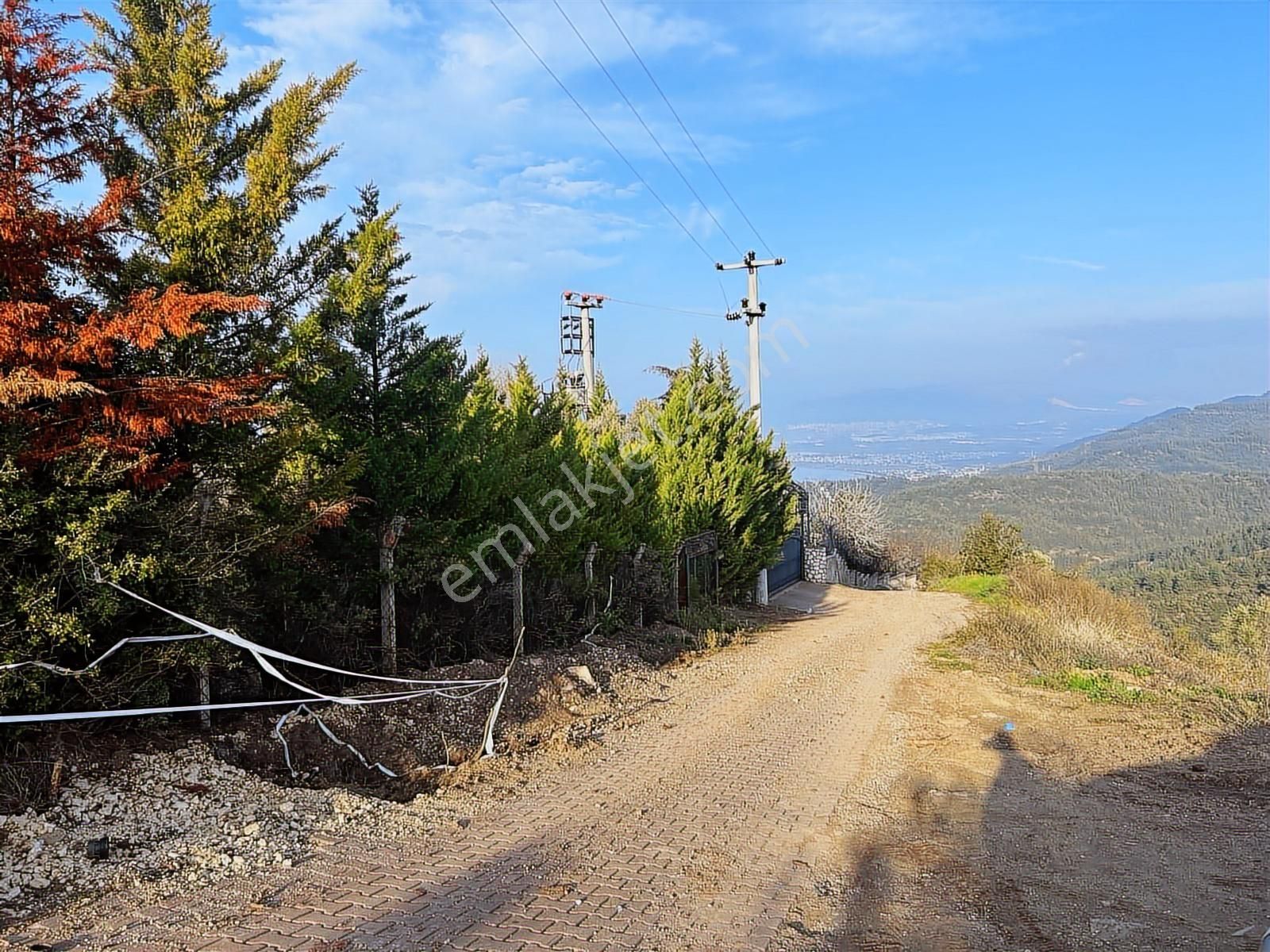 Gündoğdu'da Yatırımcıya Özel Doğa Manzaralı Tarla - Görsel 13