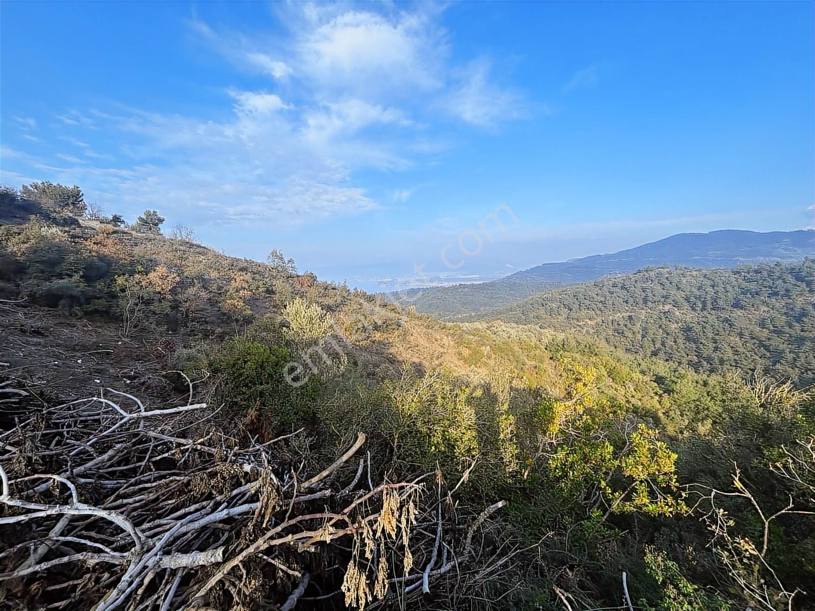 Gündoğdu'da Yatırımcıya Özel Doğa Manzaralı Tarla - Görsel 16