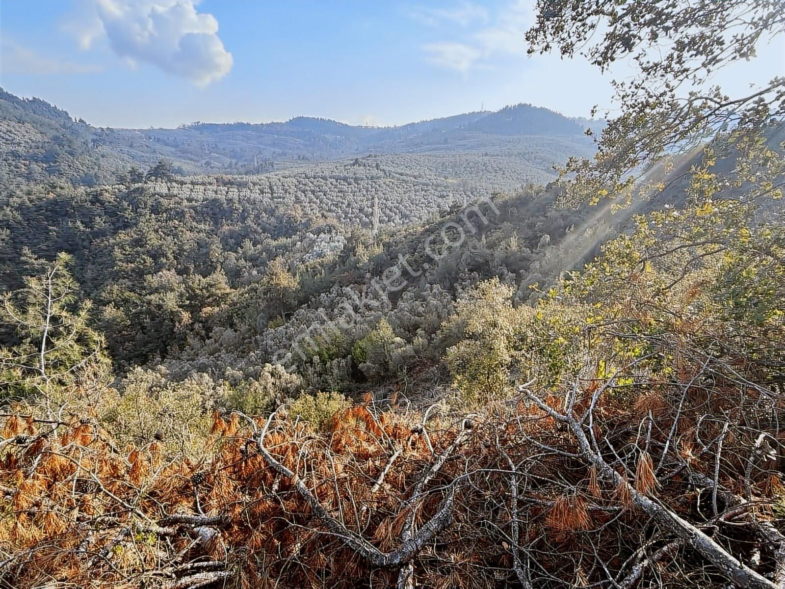 Gündoğdu'da Yatırımcıya Özel Doğa Manzaralı Tarla - Görsel 5