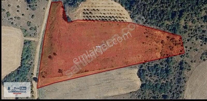 Bursa Yenişehir Afşar' Da 16125 M2 Kadastral Yola Cephe Tarla