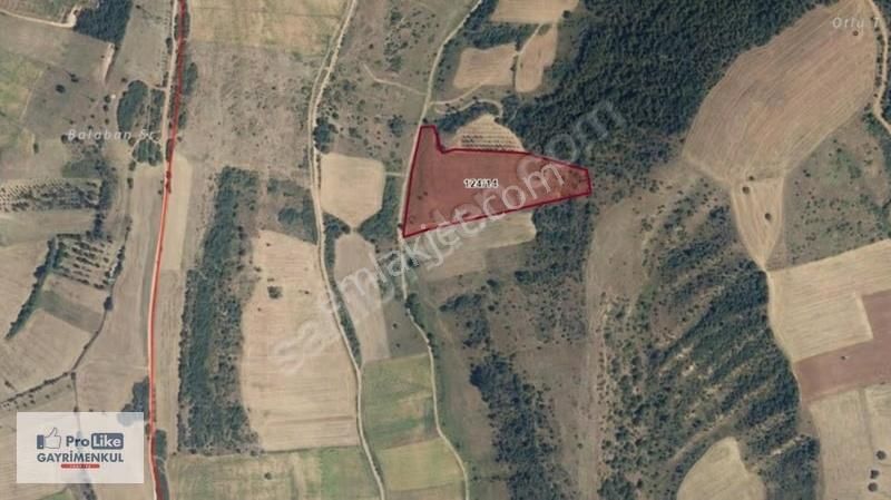 Bursa Yenişehir Afşar' Da 16125 M2 Kadastral Yola Cephe Tarla - Görsel 6