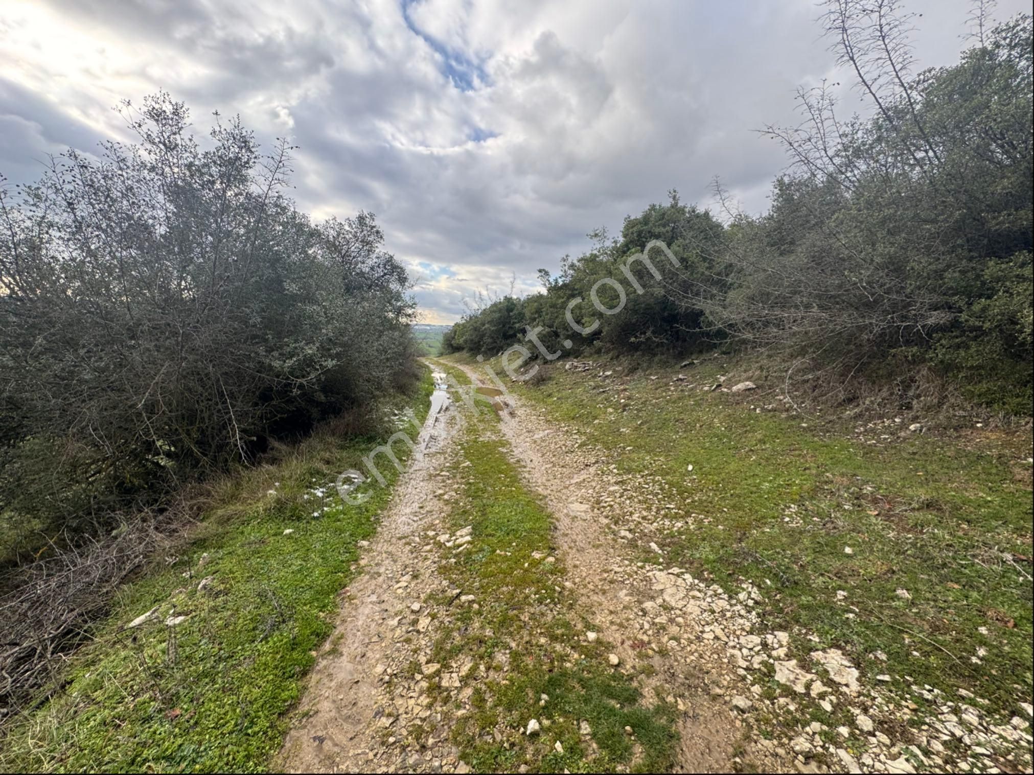 Kocaeli-kandıra Beyce’de Yatırımlık - Görsel 4