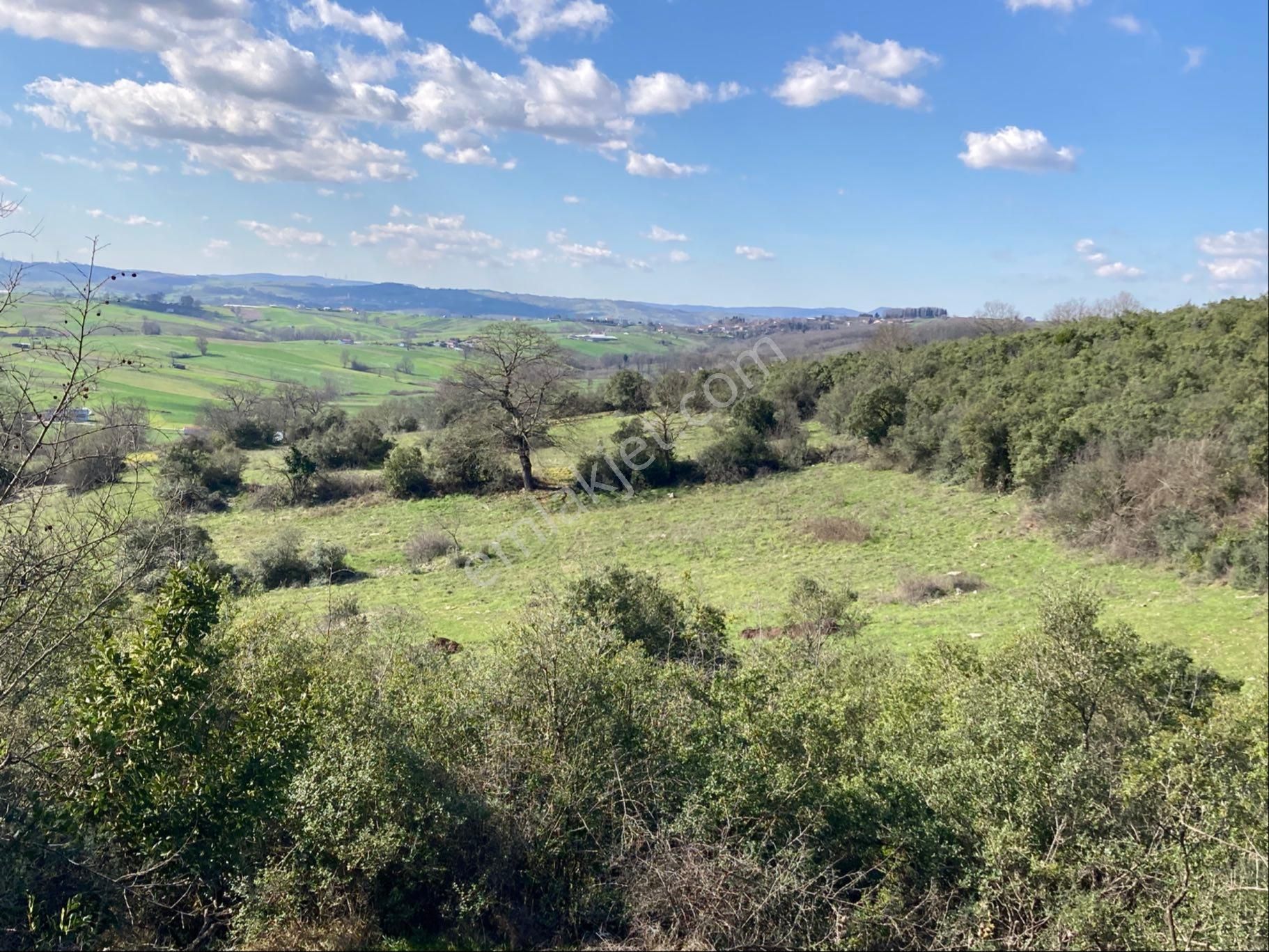 Kocaeli-kandıra Beyce’de Yatırımlık - Görsel 7