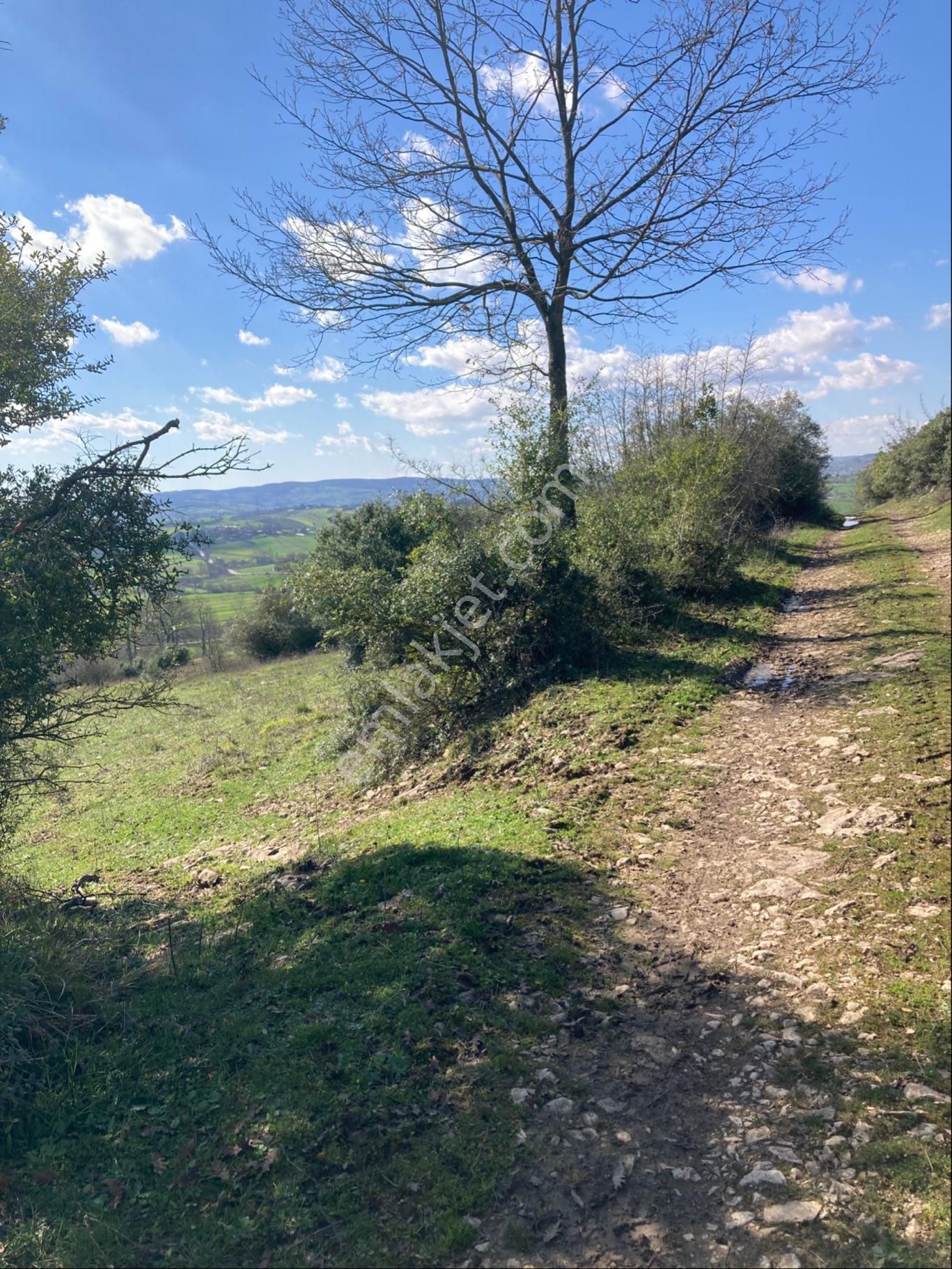 Kocaeli-kandıra Beyce’de Yatırımlık - Görsel 8