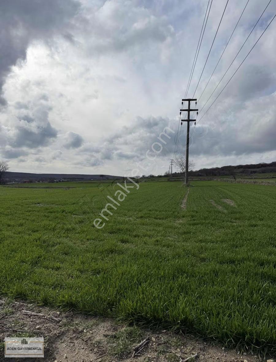 Vize - Pazarlı 11 Adet 250m2 Hisse - Görsel 5