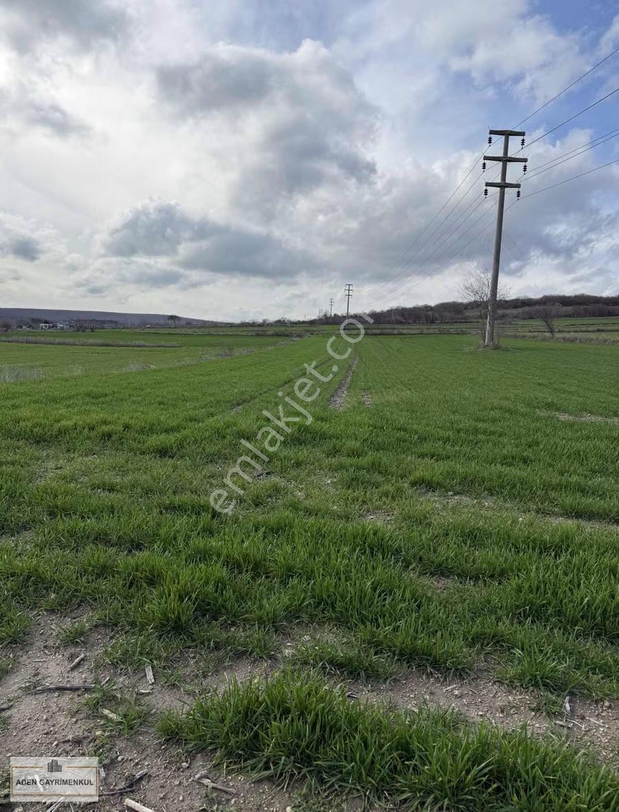 Vize - Pazarlı 11 Adet 250m2 Hisse - Görsel 8