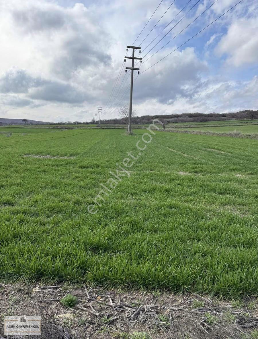 Vize - Pazarlı 11 Adet 250m2 Hisse - Görsel 9