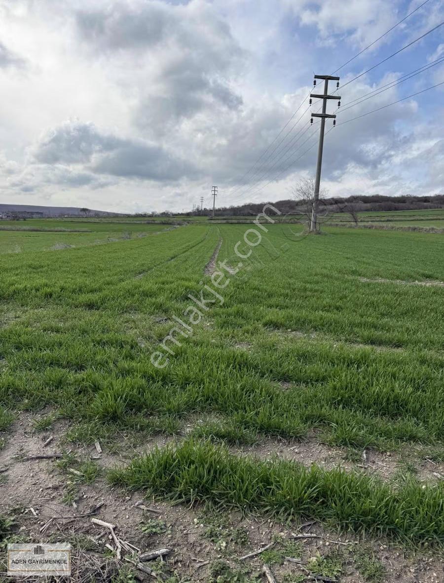 Vize - Pazarlı 11 Adet 250m2 Hisse - Görsel 14