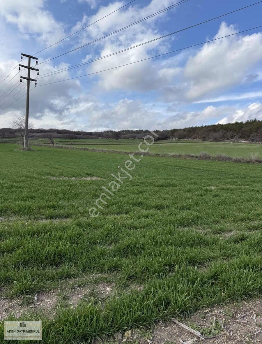 Vize - Pazarlı 11 Adet 250m2 Hisse - Görsel 15