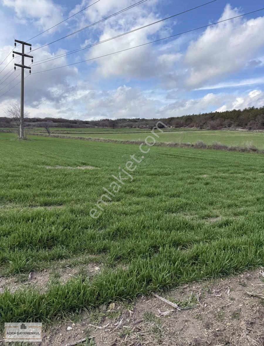 Vize - Pazarlı 11 Adet 250m2 Hisse - Görsel 12
