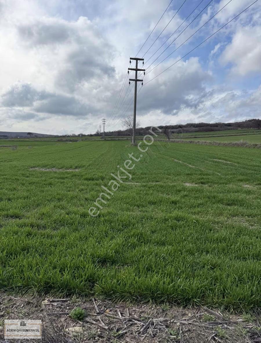 Vize - Pazarlı 11 Adet 250m2 Hisse - Görsel 11