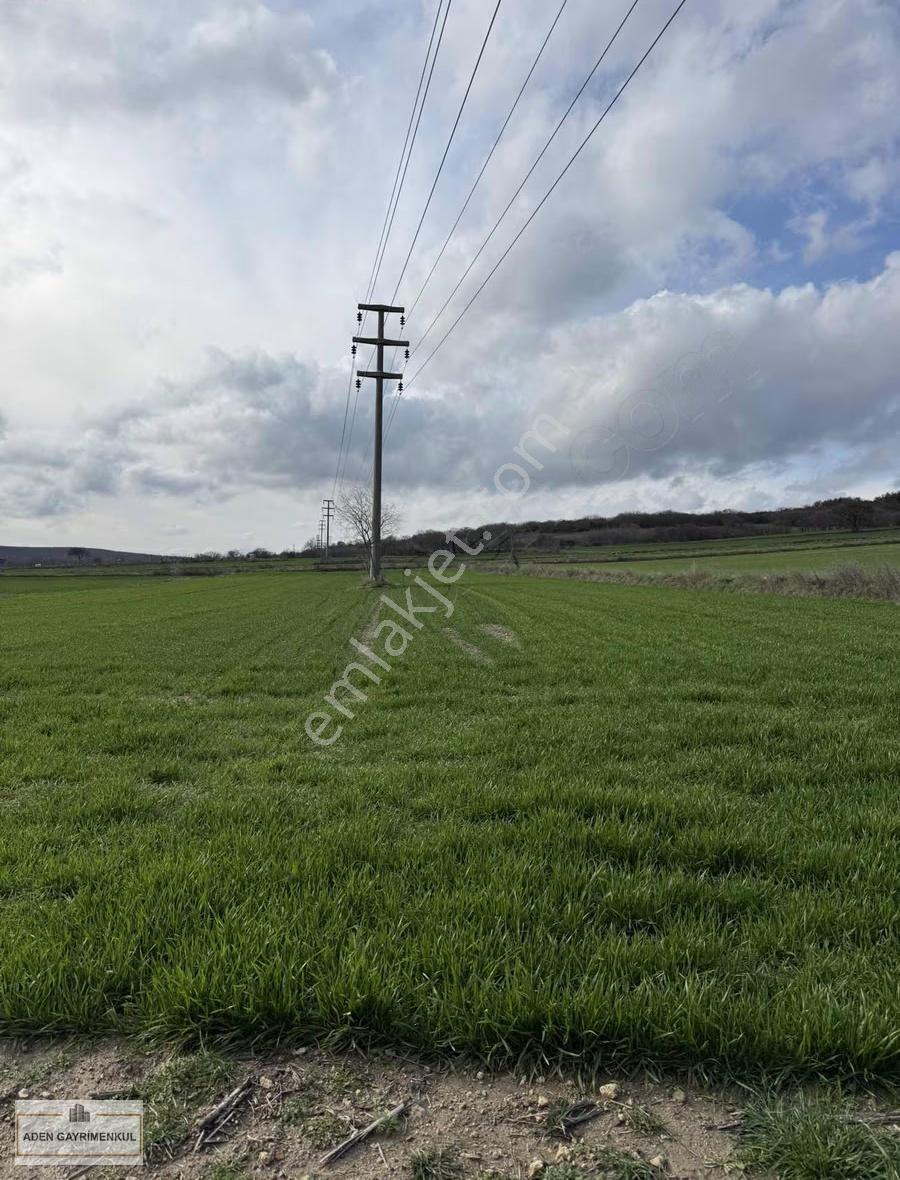 Vize - Pazarlı 11 Adet 250m2 Hisse - Görsel 4