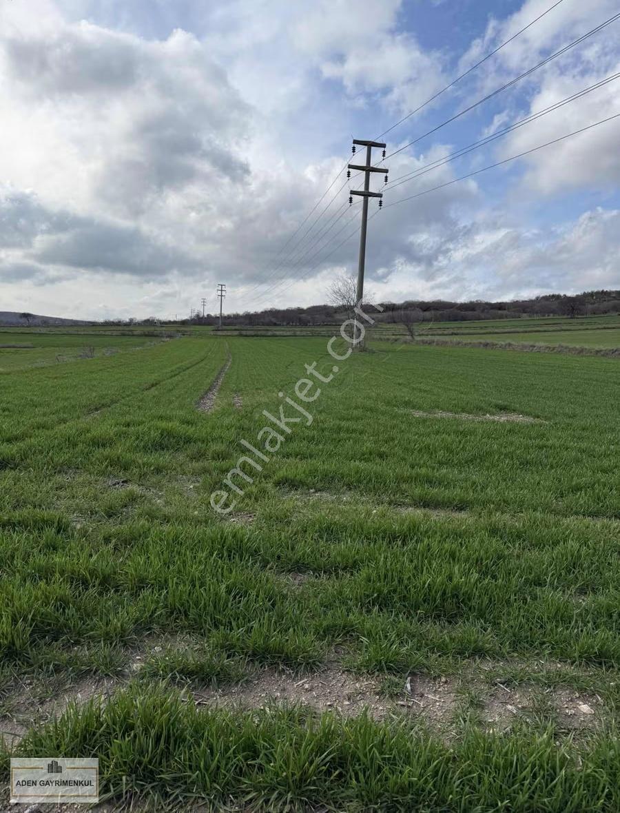 Vize - Pazarlı 11 Adet 250m2 Hisse - Görsel 10
