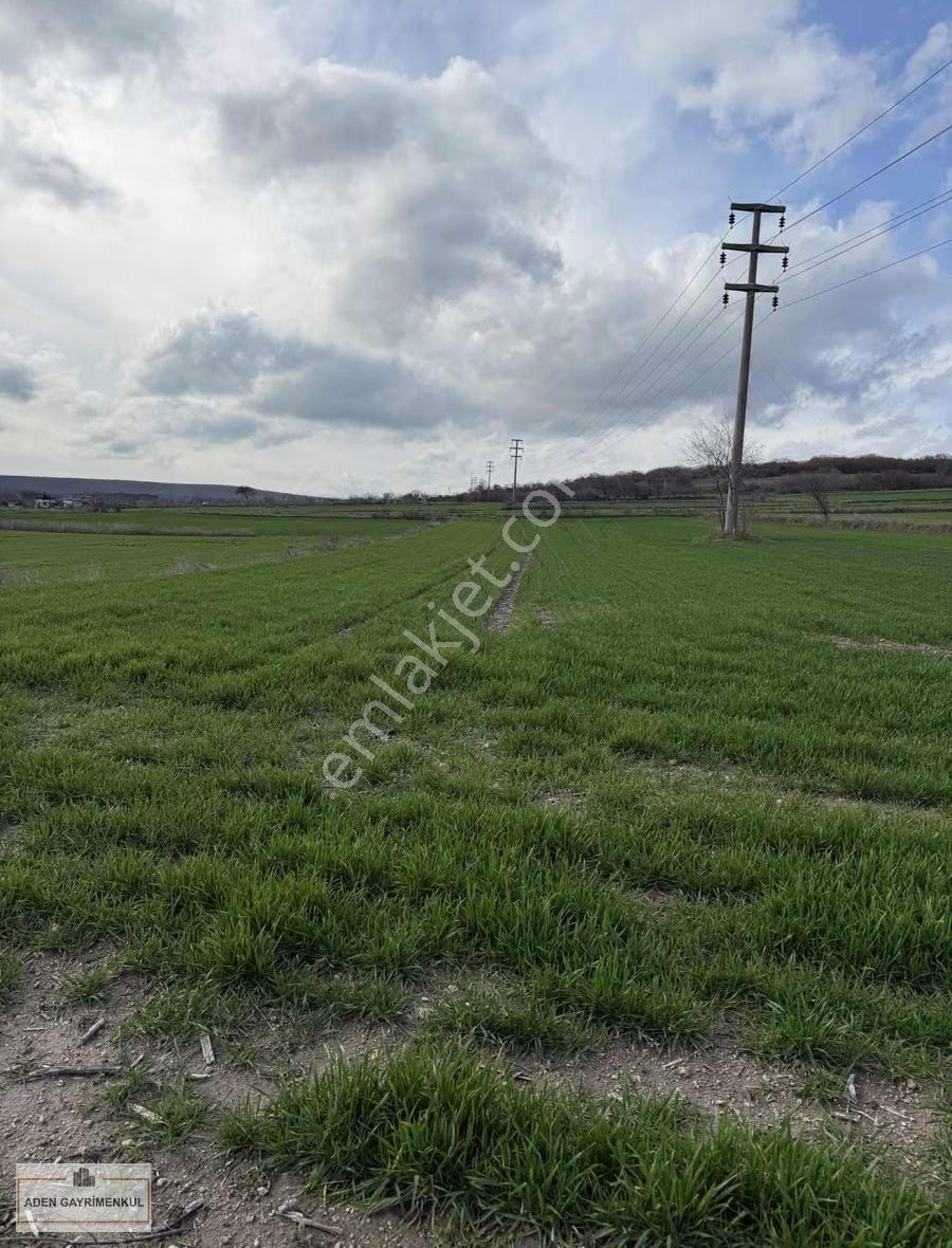Vize - Pazarlı 11 Adet 250m2 Hisse - Görsel 6