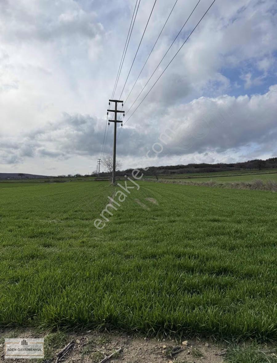 Vize - Pazarlı 11 Adet 250m2 Hisse