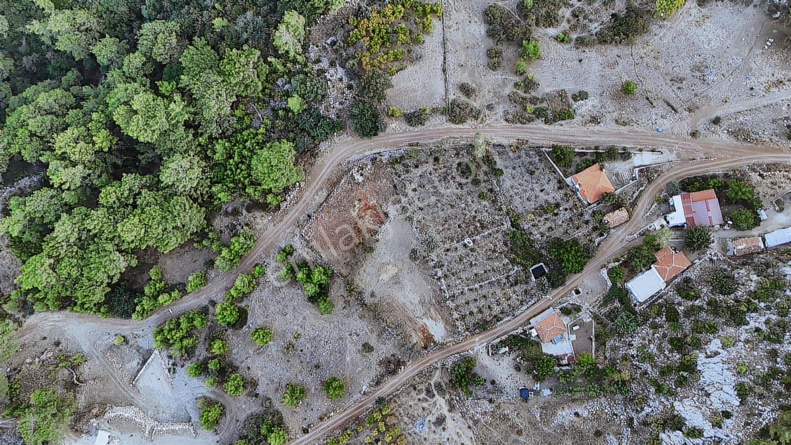 07 Truva Emlaktan Kumluca Adrasanda Satılık Manzaralı Tarla - Görsel 7