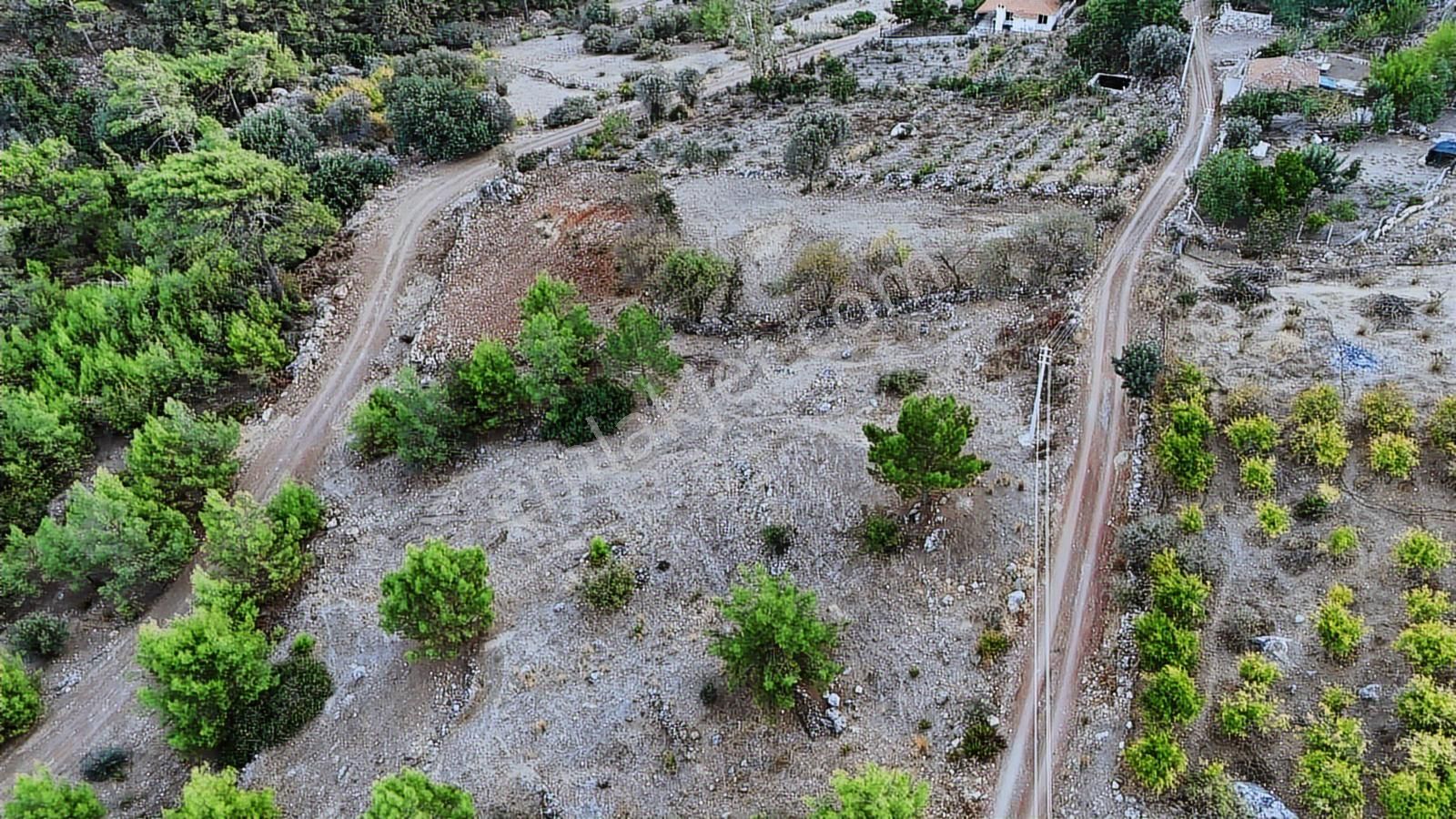 07 Truva Emlaktan Kumluca Adrasanda Satılık Manzaralı Tarla - Görsel 34