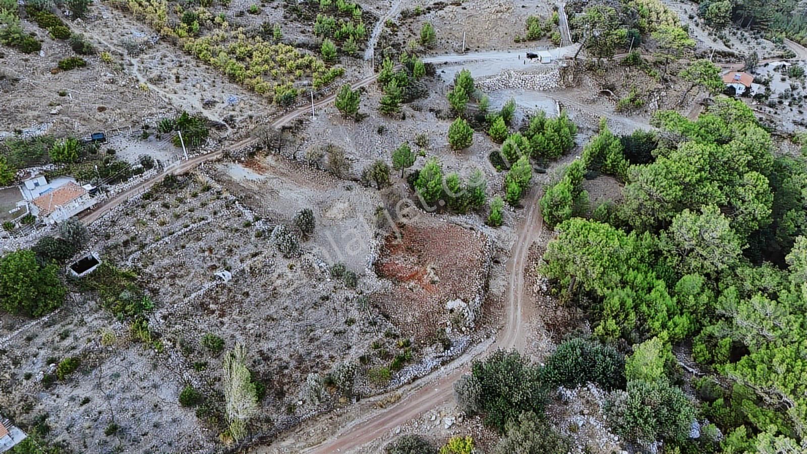 07 Truva Emlaktan Kumluca Adrasanda Satılık Manzaralı Tarla - Görsel 13