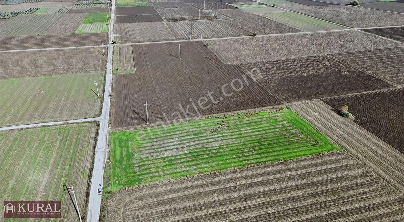 İzmir Menderes Tekelide1/2 Hisse Tapulu 4644m2 Asvalt Yol Tarla - Görsel 31