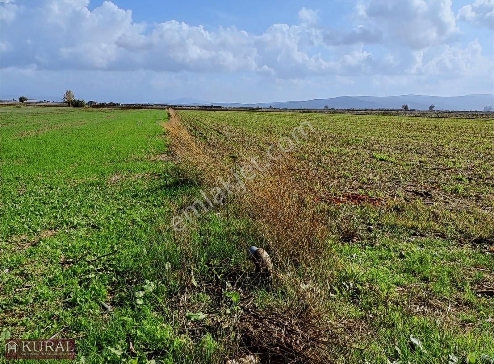İzmir Menderes Tekelide1/2 Hisse Tapulu 4644m2 Asvalt Yol Tarla - Görsel 27
