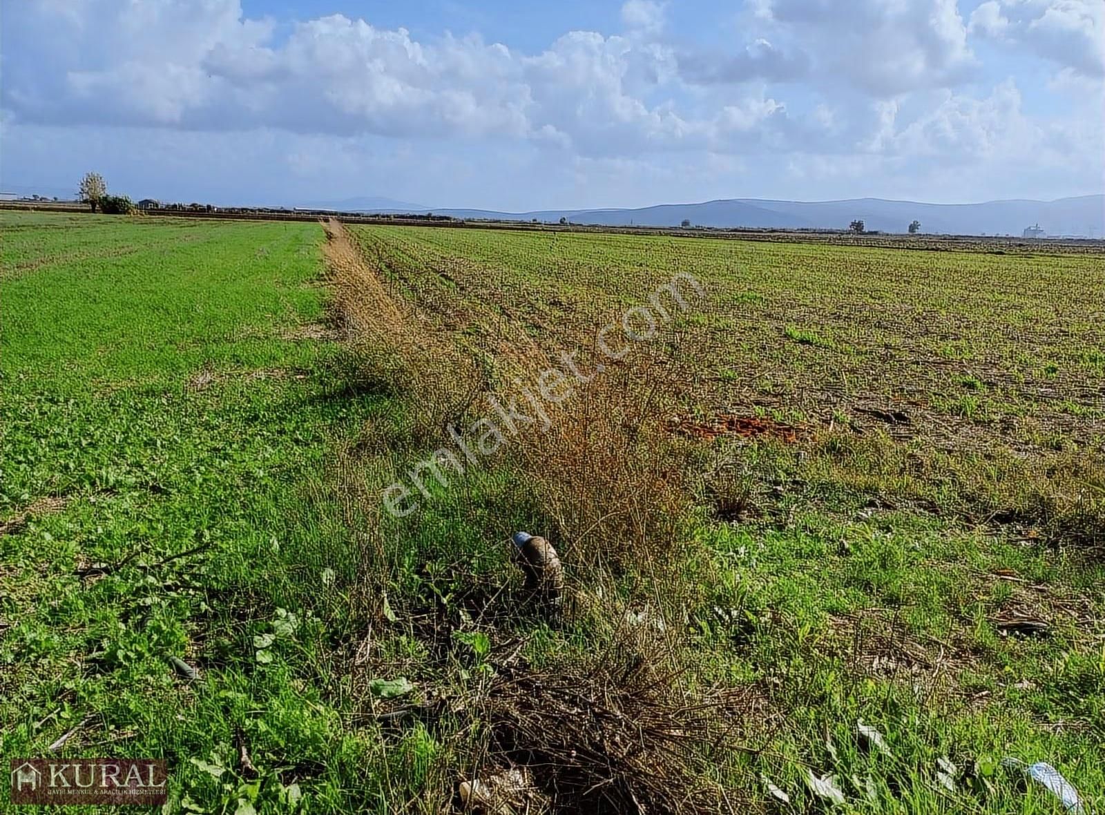 İzmir Menderes Tekelide1/2 Hisse Tapulu 4644m2 Asvalt Yol Tarla - Görsel 24